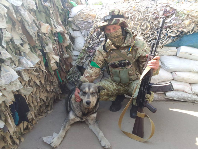 "Терминатор" - спасеното куче помага на украинските граничари в Харков