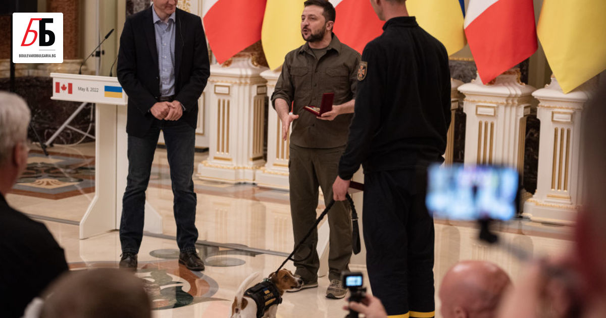 Президентът на Украйна Володимир Зеленски награди най-известното куче в страната -