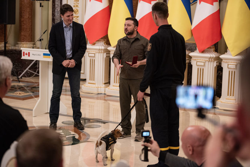Военен орден за Патрон - най-доброто куче сапьор на Украйна 