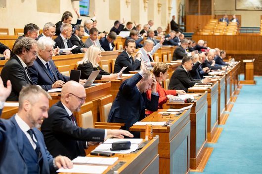 Сенатът на Чехия обяви руските военни престъпления в Украйна за геноцид
