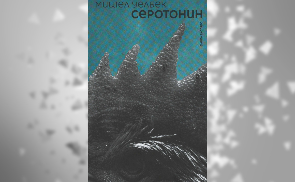 Как индивидуалната депресия и безсилие може да се преобразува в обществена криза и бунт? Мишел Уелбек го показва чрез историята на мъж на средна възраст, който се намира в сърцевината на професионалния си провал, житейското неудовлетворение и изчезването на сексуалното си либидо. Ако "Подчинение" подсказваше причините за неспособността на френското общество да се справи с рязкото тласкане между краен национализъм и сляпо подчинение на чужда културна традиция, "Серотонин" описва някои от симптомите, довели до избухването на протестите на "жълтите жилетки".