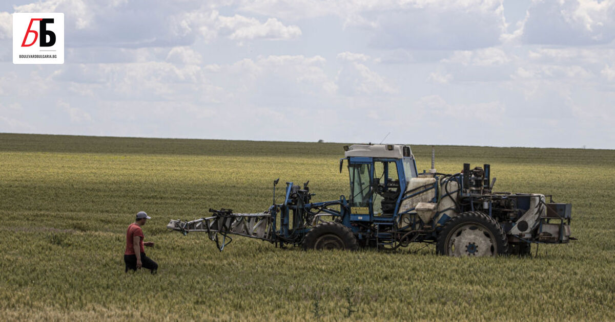 Украйна произвежда около 12% от глобалния добив на пшеница, като