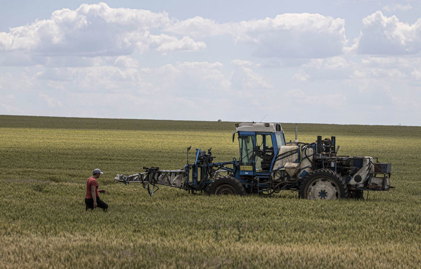 Русия присвоява зърното на окупираните зони в Запорожието и Херсон