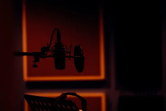 Квотата за бг музика мина през медийна комисия - 50% от нея трябва да е от българи и на български