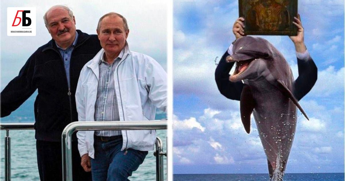 Истинско чудо се случи на брега на Черно море. Делфини