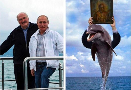 Истинско чудо се случи на брега на Черно море Делфини
