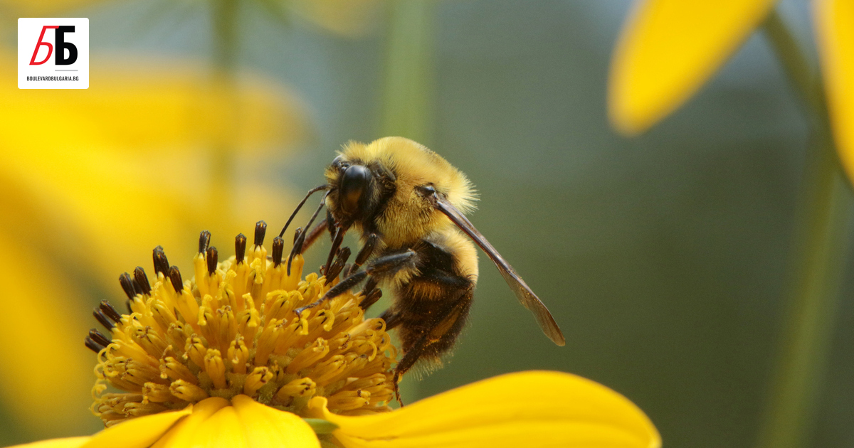 Американски учени са ползвали силата на изкуствения интелект, за да
