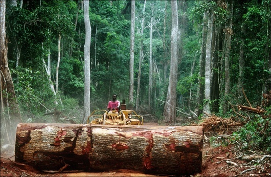 Как Централноафриканската република подари горите си на хората на Путин 