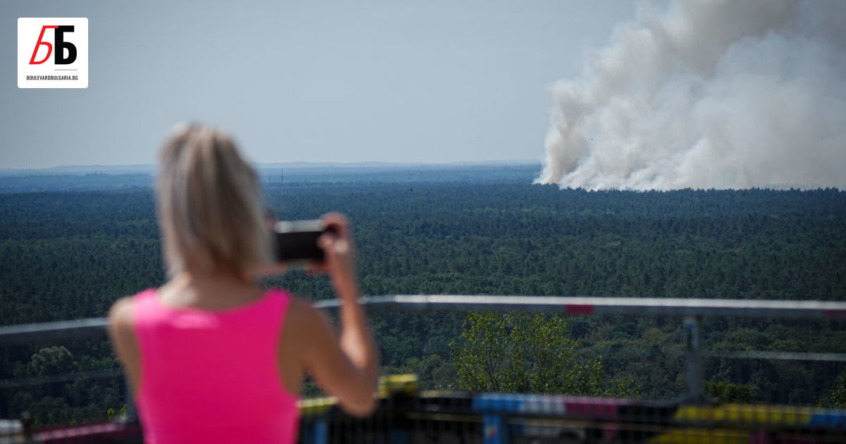 Пожар е избухнал в горския парк Груневалд в югозападен Берлин,