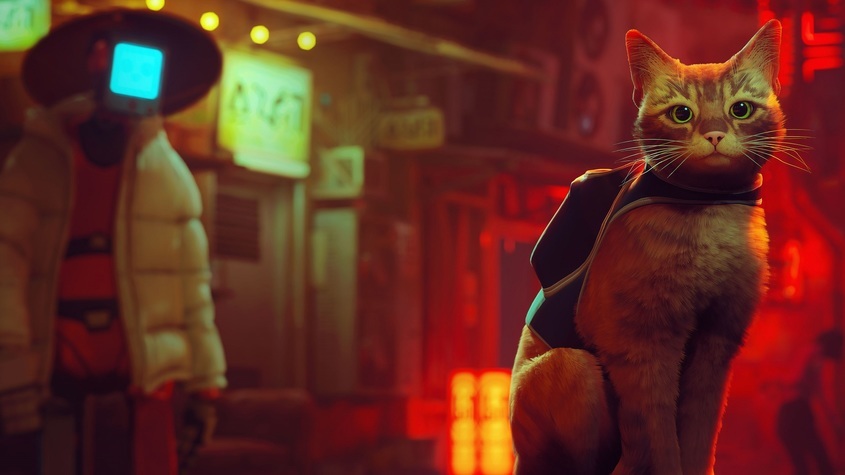 Видеоигра за бездомна котка е най-новата сензация, но и благотворителна кауза сред геймъри