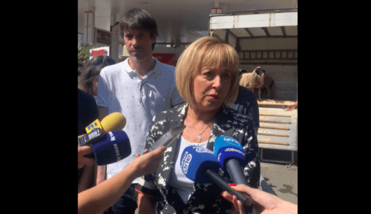 Мая Манолова даде ход на предизборната си кампания с медийна