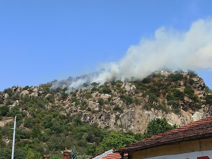 Пожарникари и доброволци изгасиха пожара на Младежкия хълм в Пловдив