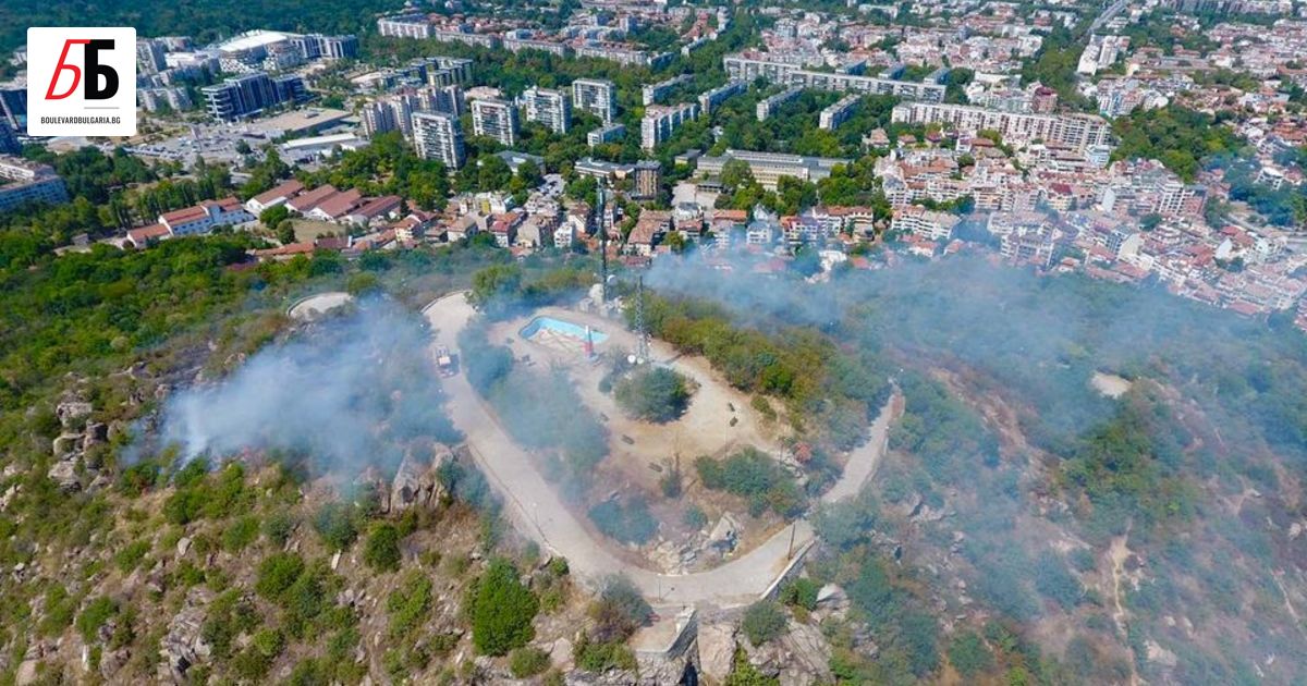 Пожарът близо до върха на Младежкия хълм в Пловдив беше