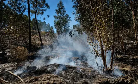 България е сред 33 държави, които ще отговарят пред ЕСПЧ за лошите си екополитики