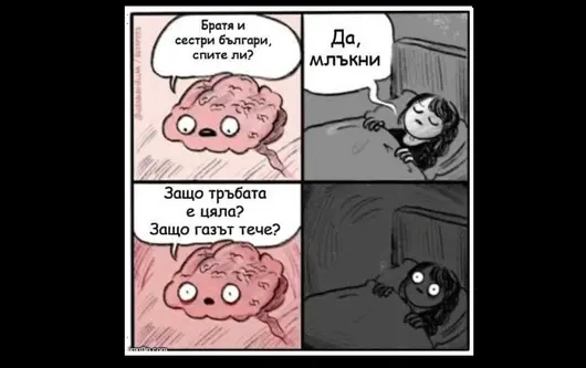 "Защо тръбата е цяла": русофилското хайку на Стефан Янев