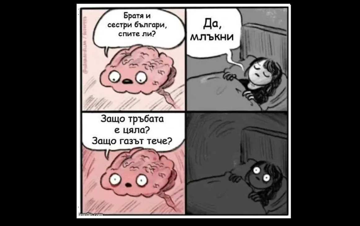 "Защо тръбата е цяла": русофилското хайку на Стефан Янев