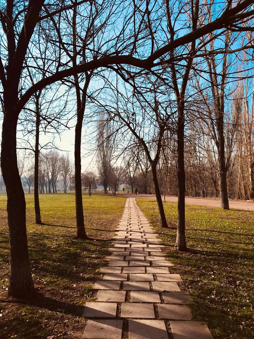 Парковете в София може да отворят за родители с малки деца