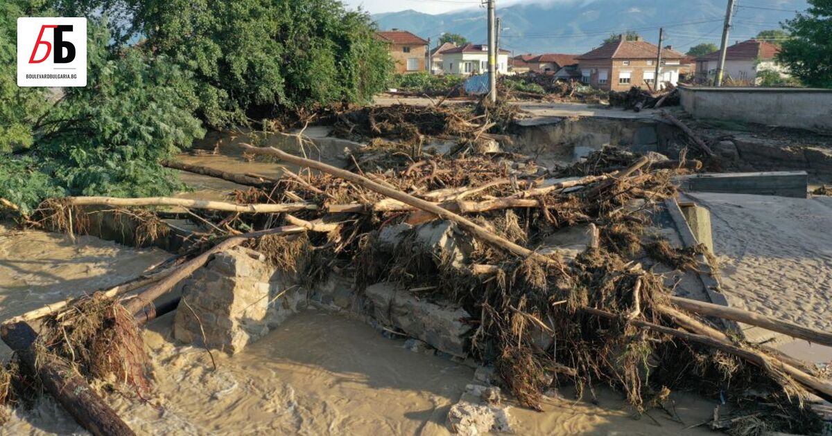 Около три седмици след началото на раздаването на дървата, които