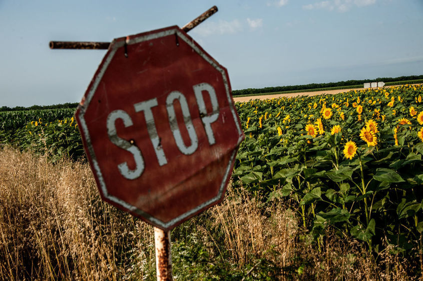 Зърнопроизводителите са против вноса от Украйна, "Зелената сделка" и шистовия газ