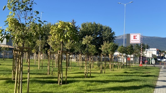 Kaufland изгради парк с над 300 нови дървета в кв. „Горубляне“ 