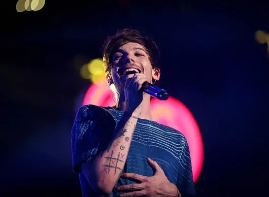 Звезда от One Direction ще има концерт в София