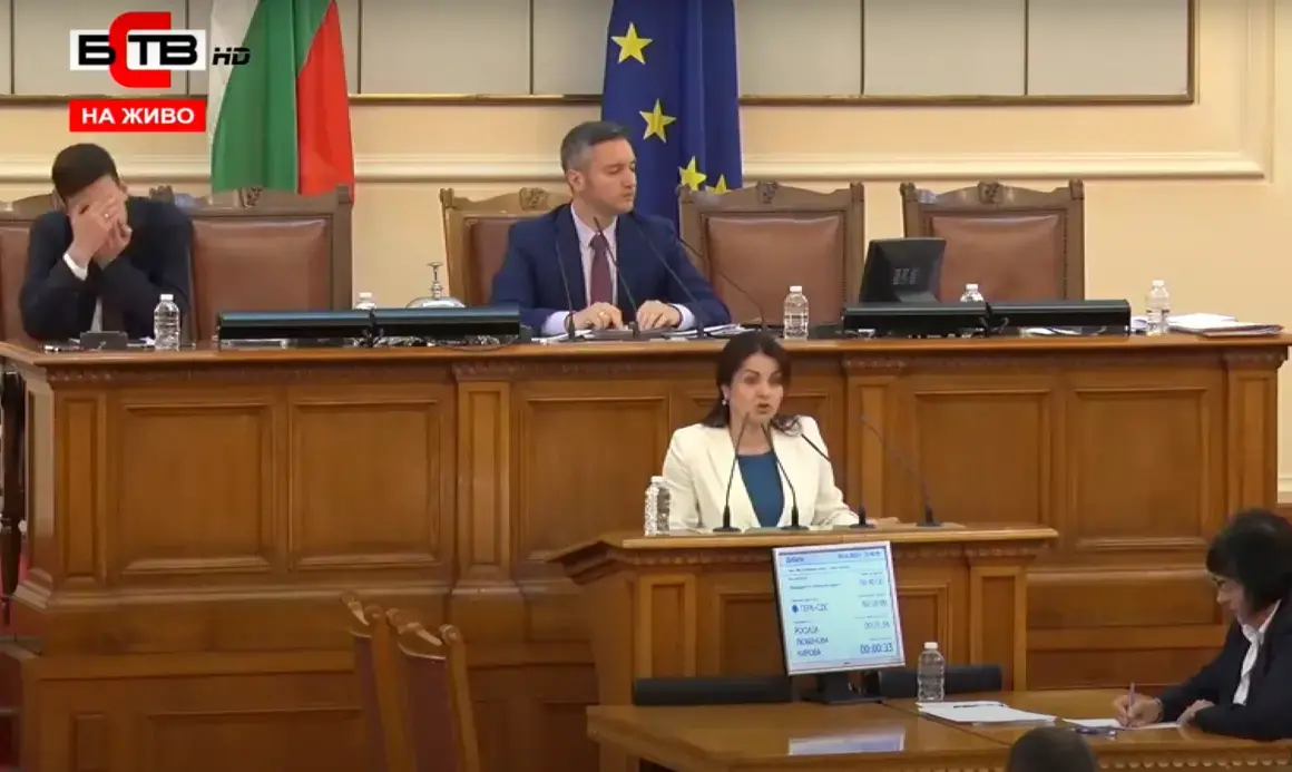 Гьоте, Шекспир и "прескочи кобила": Бисерите на Росица Кирова за хартиените бюлетини
