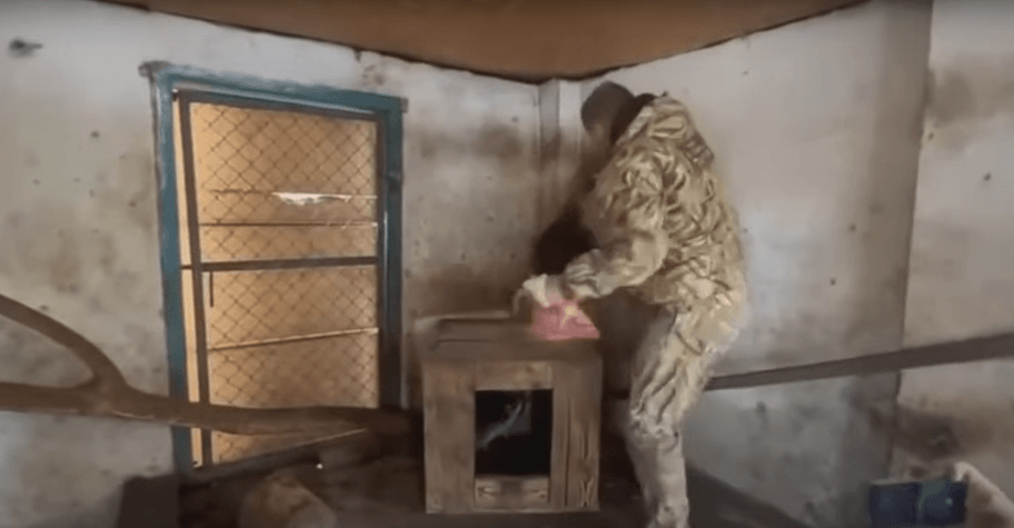 Руската окупация в Херсон се прочу с нелепа кражба на еноти от зоопарка