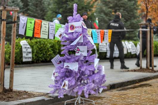 КНСБ поднесе протестна елха пред НС с искане за по-високи доходи