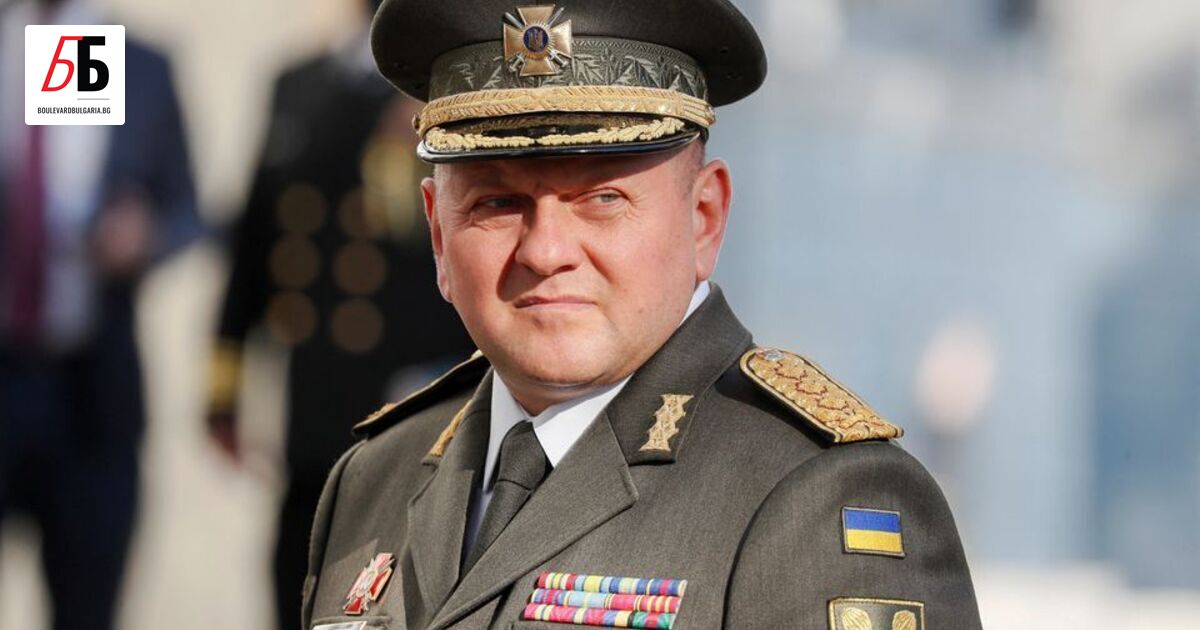 На 49 години ген. Валерий Залужний се превърна в герой