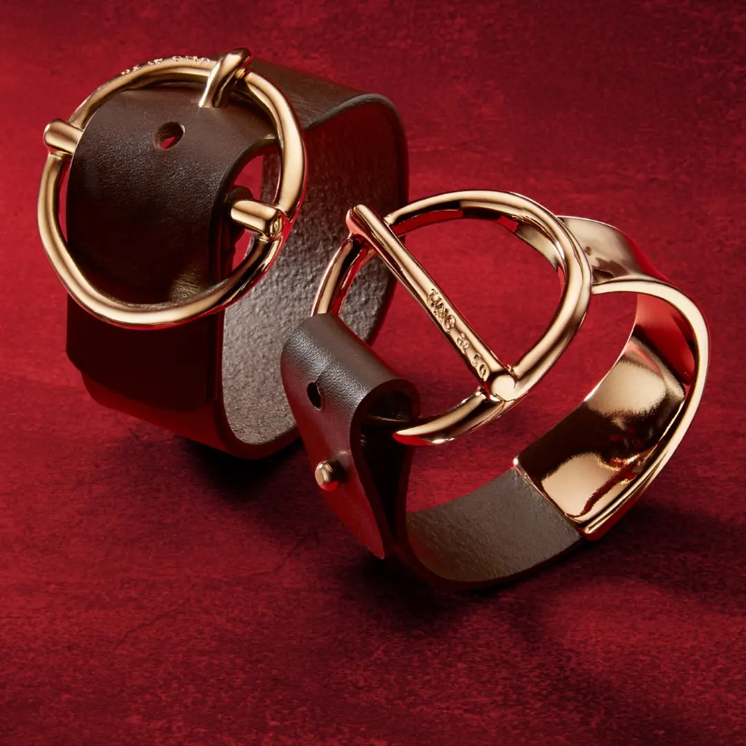 Бижу, приковаващо погледи