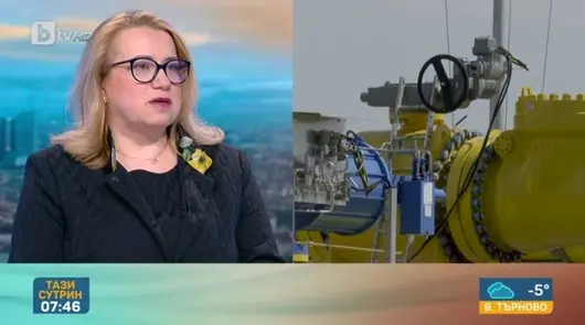 Директорът на "Булгаргаз": Очакваме цената за януари да е под 200 лв.