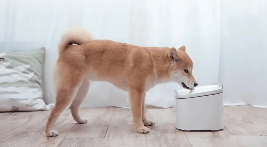 XIAOMI Smart Pet Drinking Fountain