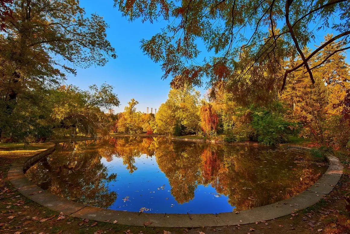 Ботаническата градина в Букурещ