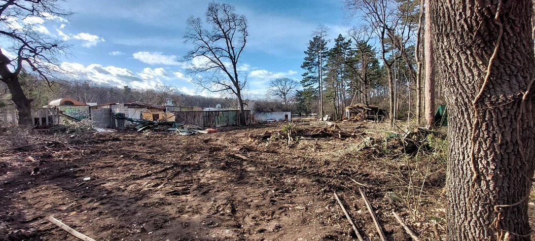 Фандъкова и Трайков в СОС заради изсечените дървета в Борисовата градина
