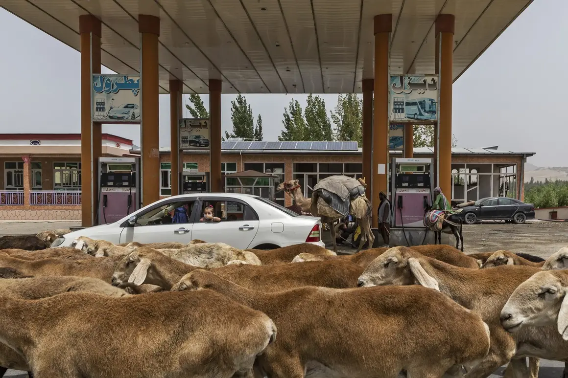"Пощенски картички от Афганистан след 40 години война" от Бруно Занцотера