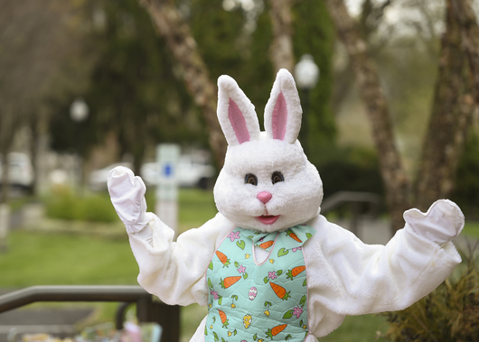 Защо заекът се е превърнал в символ на Великден?