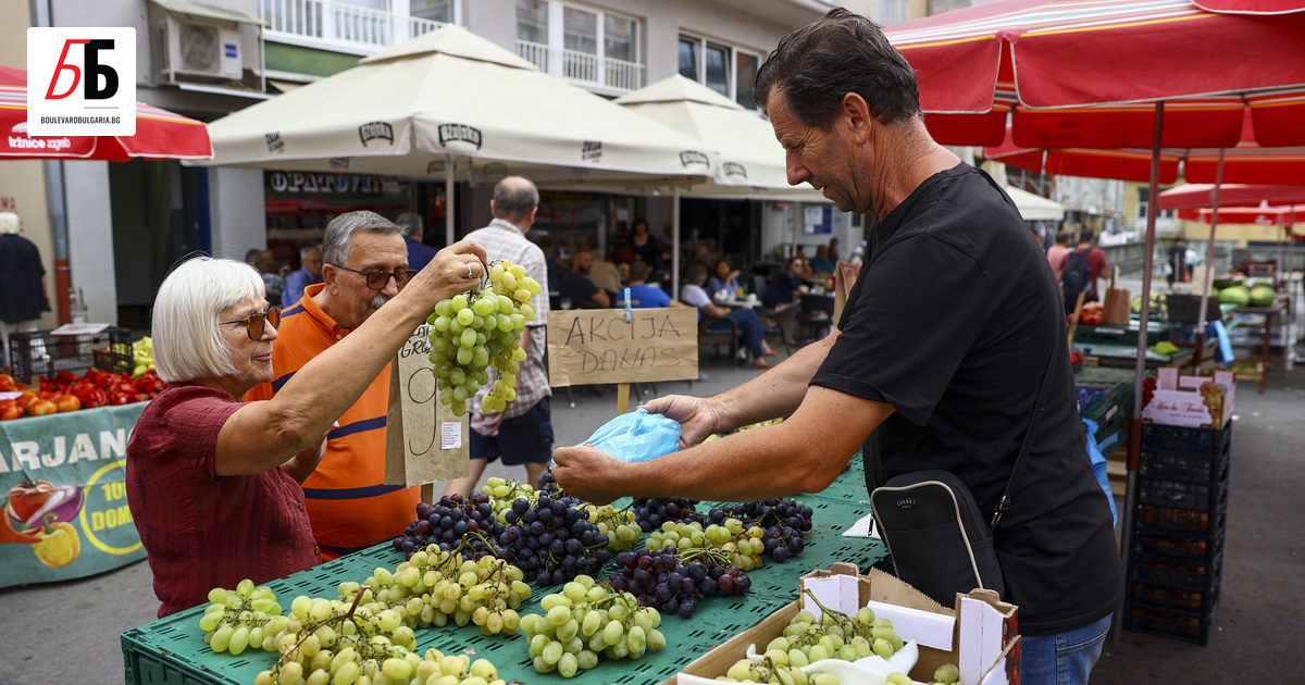 Годишната инфлация в Хърватия се е забавила до 8,8% през