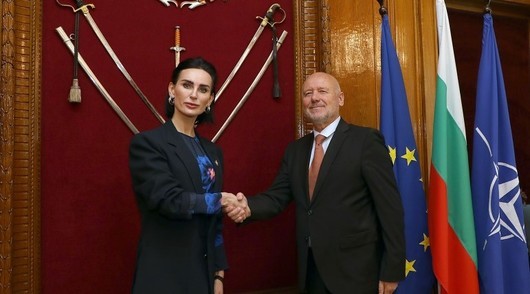 Министърът на отбраната Тодор Тагарев се е срещнал с посланика