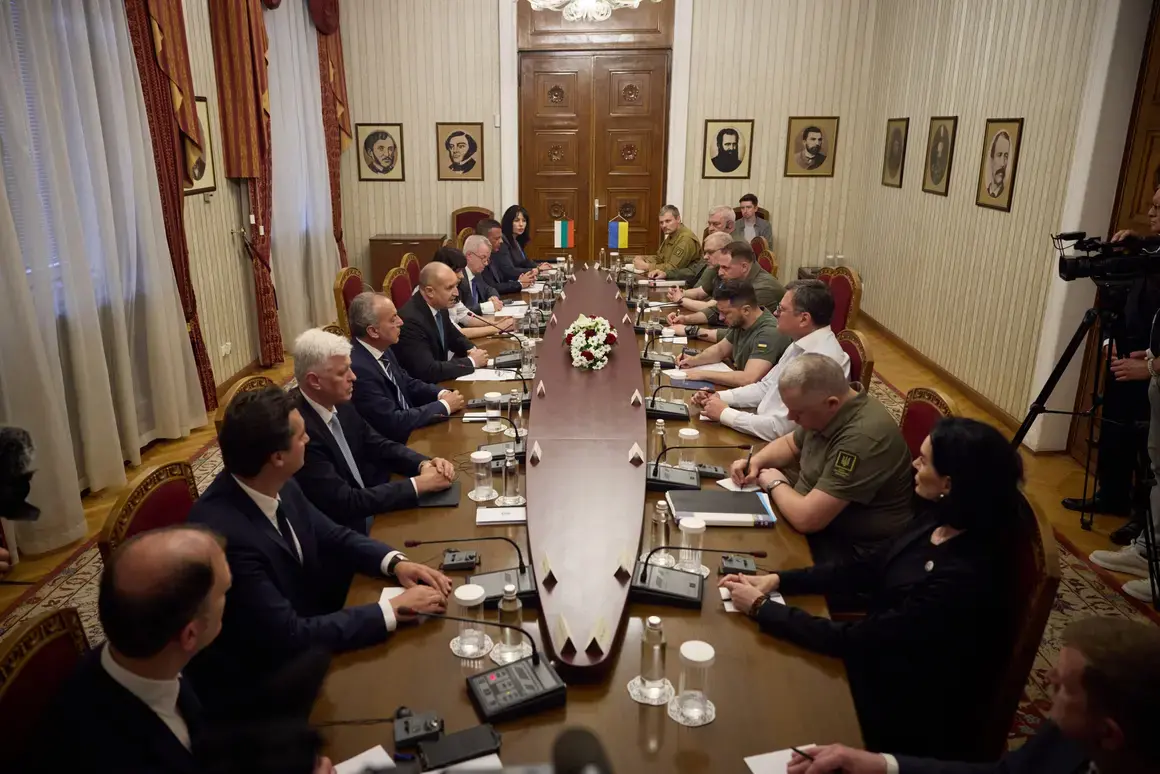 Пресцентърът на Радев се засегна от отразяването на хладното посрещане на Зеленски 