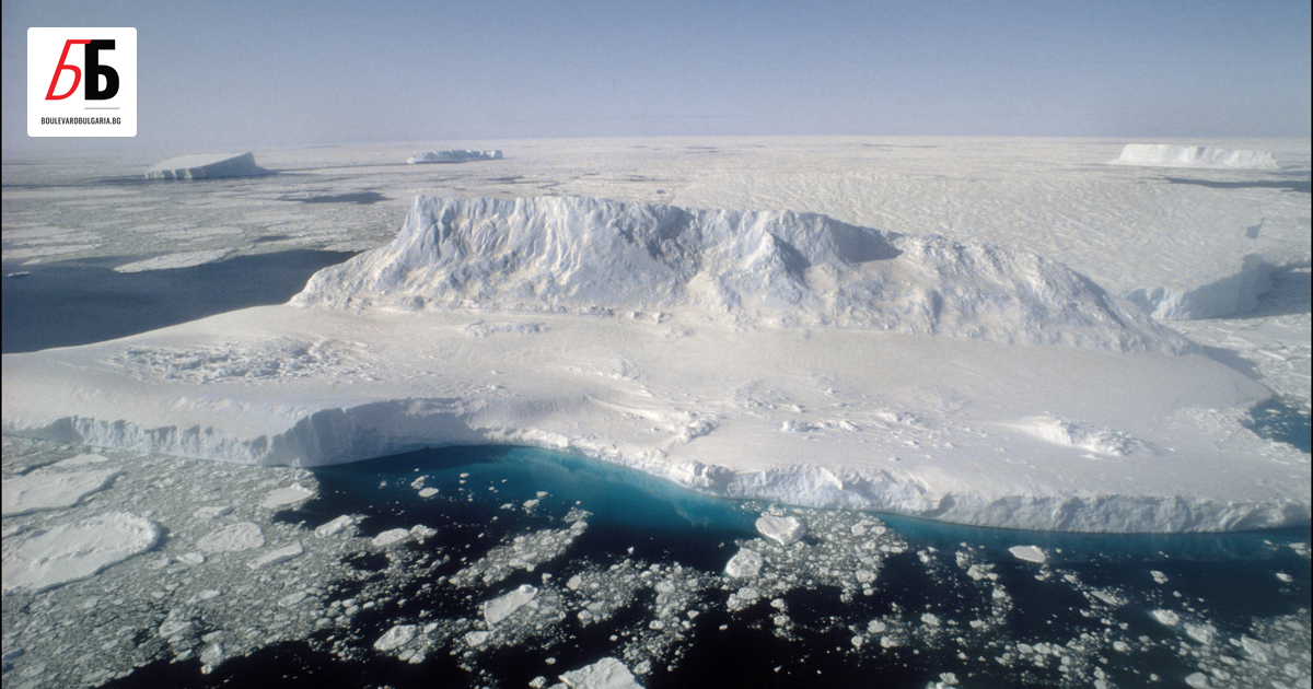 Световната метеорологична организация (WMO) съобщи, че морският лед в Антарктика