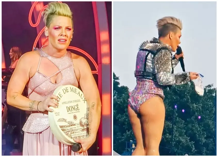 Pink пита от сирене Бри, замерена с пепел по време на участие