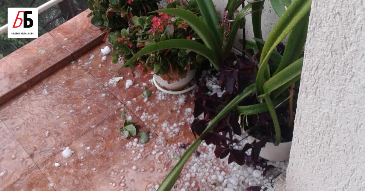 За опасно горещо времев 7 области на България в сряда,