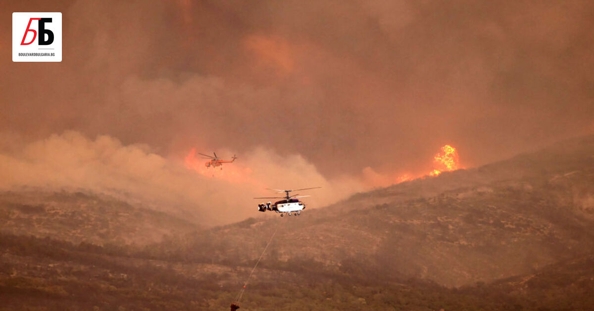 18 души са намерени мъртви в изгоряла гора в областта