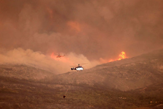 18 души са намерени мъртви в изгоряла гора в областта