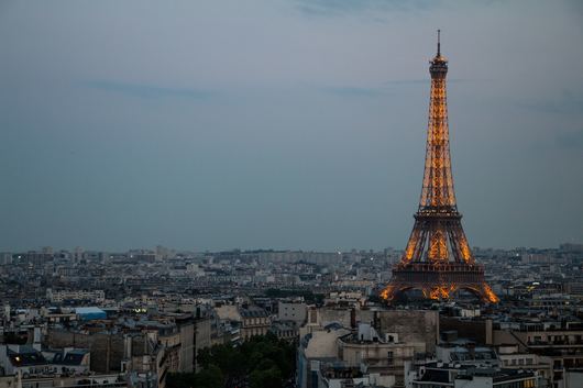 Париж гъмжи от дървеници преди Олимпиадата през 2024 г Гадинките
