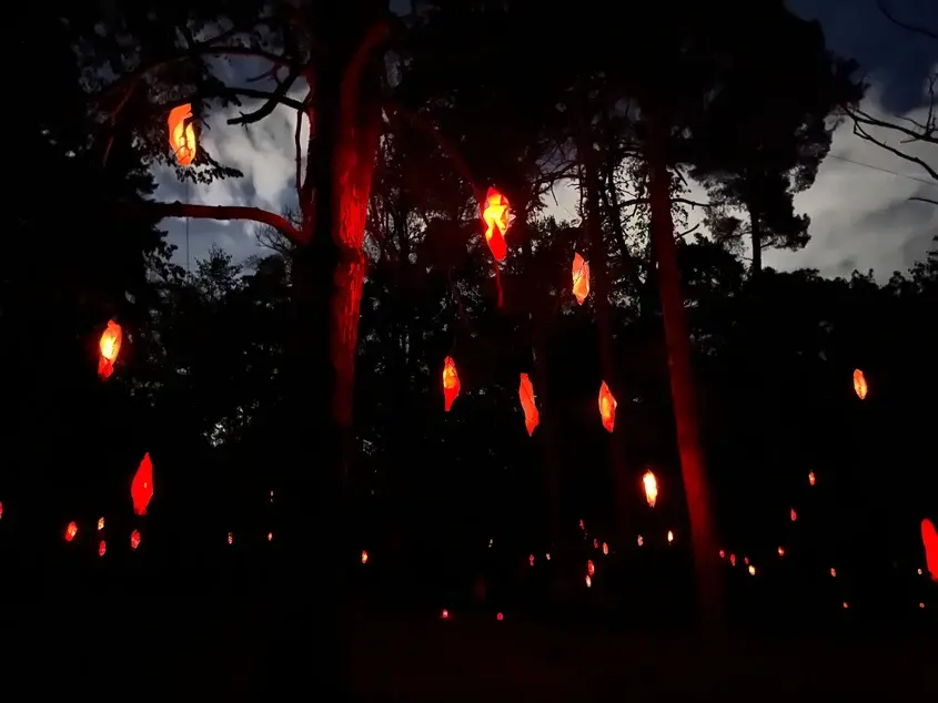 светлинен фестивал Sofia Lights