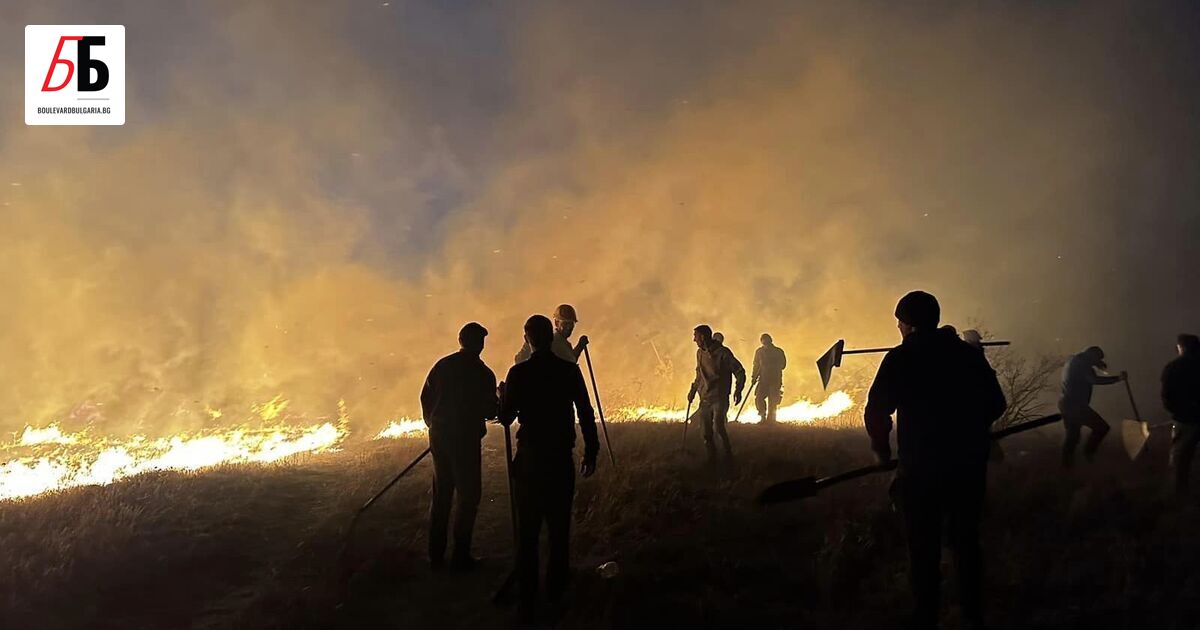 Пожари пламнаха в горски масиви в три общини в област