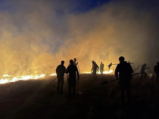 Пожари пламнаха в горски масиви в три общини в област
