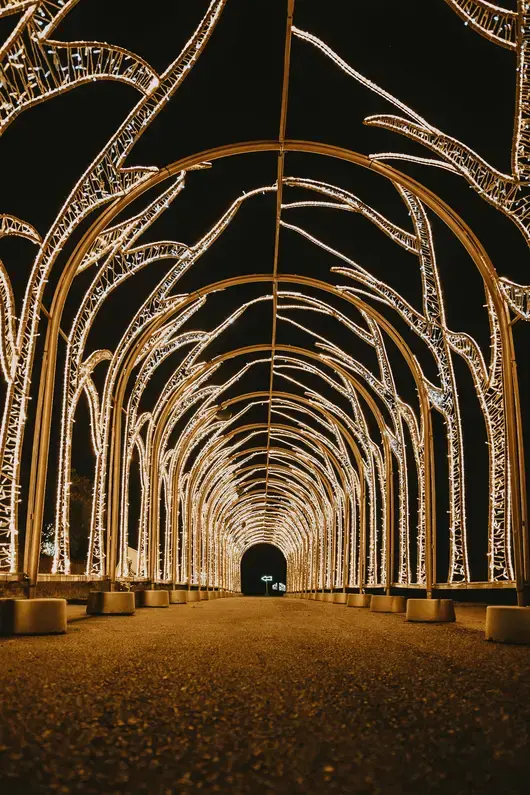 Разгледайте Lumina Park - новата зимна атракция, която отвори в София
