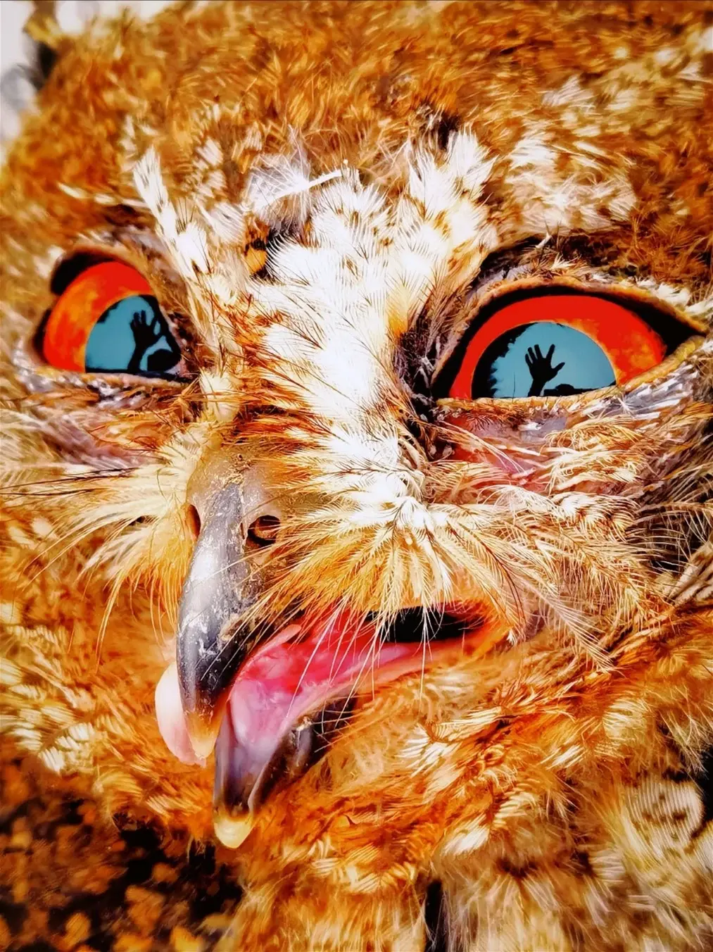 ,,Безстрашен орел" от Доу Чуанли (Китай) - HUAWEI Mate 40 RS